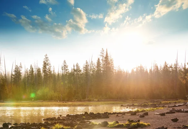 Soluppgångsscenen Vackra Fridfulla Sjön Vacker Naturlig Bakgrund — Stockfoto