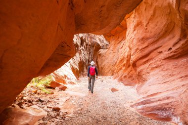 Utah, ABD 'deki Grand Staircase Escalante Ulusal Parkı' ndaki Slot Kanyonu. Utah çöllerinde alışılmadık renkli kumtaşı oluşumları yürüyüşçüler için popülerdir..