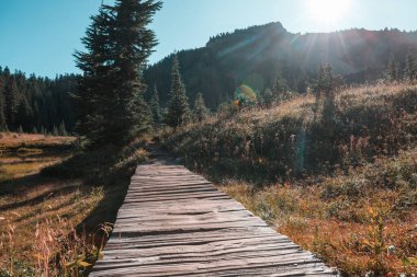 Yaz dağlarındaki çayırlarda tahta tahta kaldırım.