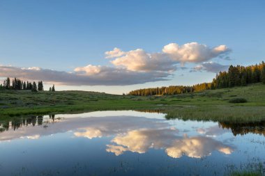 Yaz mevsiminde şafakta göl kıyısında
