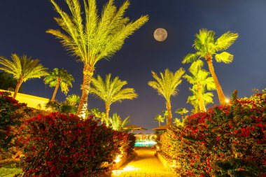 Gece ay ışığında tropik tatil beldesi