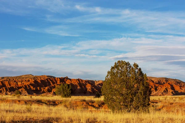 美国景观 美国犹他州的草原和悬崖 — 图库照片