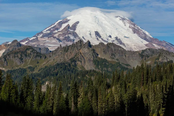 Nationaal Park Mount Rainier Washington — Stockfoto