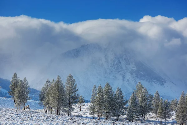 Saison Hiver Montagne — Photo