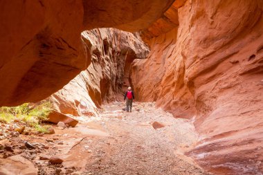 Utah, ABD 'deki Grand Staircase Escalante Ulusal Parkı' ndaki Slot Kanyonu. Utah çöllerinde alışılmadık renkli kumtaşı oluşumları yürüyüşçüler için popülerdir..