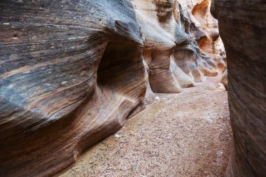 Utah, ABD 'deki Grand Staircase Escalante Ulusal Parkı' ndaki Slot Kanyonu. Utah çöllerinde alışılmadık renkli kumtaşı oluşumları yürüyüşçüler için popülerdir..