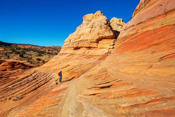 Vandra Utah Bergen Vandring Ovanliga Naturlandskap Fantastiska Former Sandsten Formationer — Stockfoto