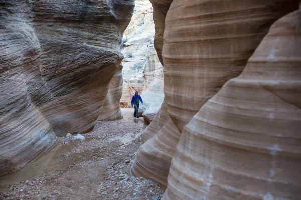 Ranura Cañón Grand Staircase Escalante National Park Utah Formaciones Inusuales — Foto de Stock