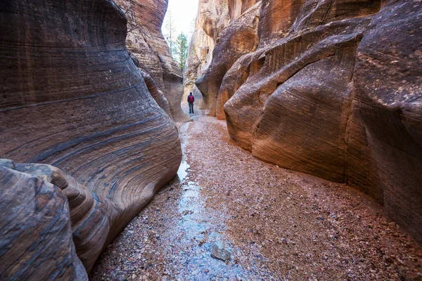 Slot Canyon Grand Staircase Escalante National Park Utah Eua Formações — Fotografia de Stock