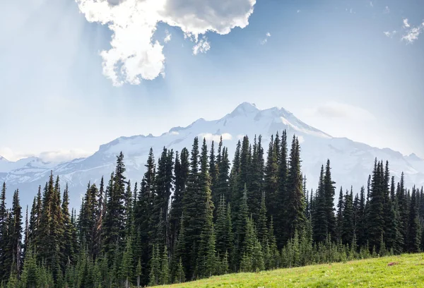 Krásný Vrchol Hory North Cascade Range Washington Usa — Stock fotografie