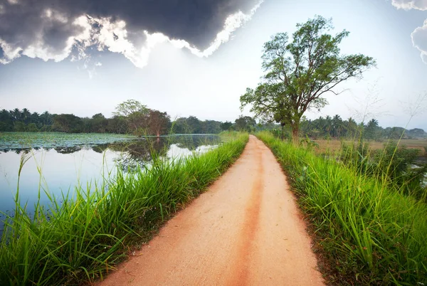 Road Sri Lanka Amidst Rural Landscapes — 图库照片