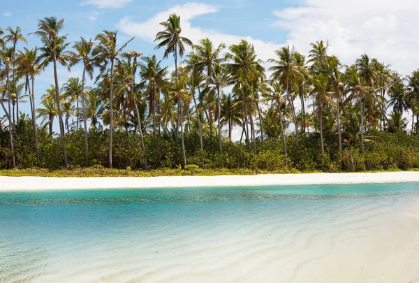 Krásné Letní Krajiny Tropické Pláži — Stock fotografie