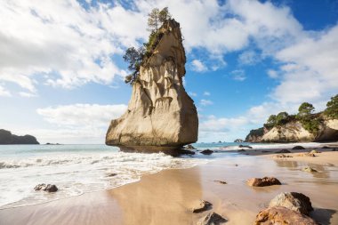 Ocean Beach, Yeni Zelanda 'da güzel manzaralar var. İlham verici doğal ve seyahat geçmişi
