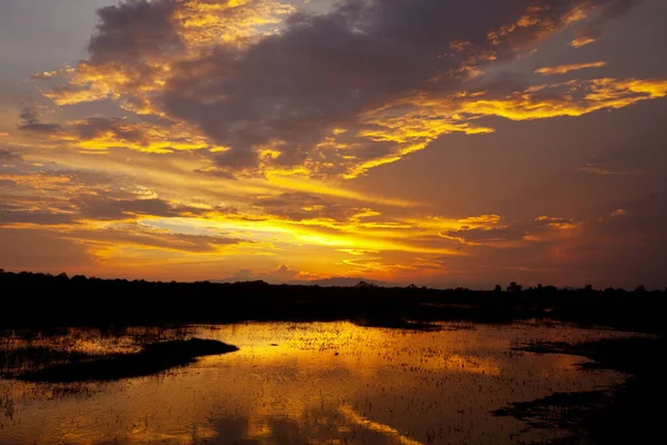 Översvämmade Fält Vid Solnedgången Sri Lanka — Stockfoto