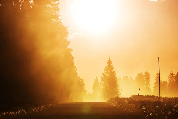 Mlhavá Louka Slunečném Ránu Světlými Skvrnami — Stock fotografie
