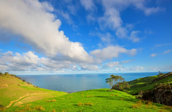 Hermoso Paisaje Rural Nueva Zelanda Amanecer — Foto de Stock