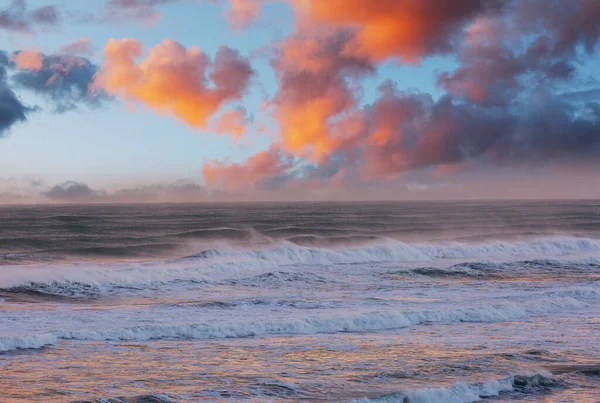 해변의 벽지나 사진에 아름다운 — 스톡 사진