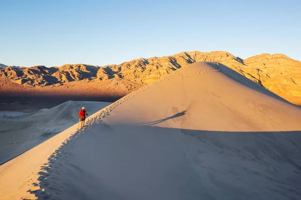Wandelaar Tussen Zandduinen Woestijn — Stockfoto