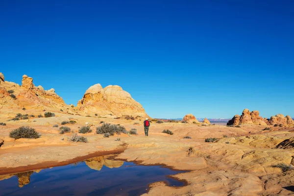 Escursione Sulle Montagne Dello Utah Escursioni Paesaggi Naturali Insoliti Forme — Foto Stock