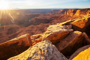 Utah, ABD 'deki Colorado nehrinin kanyonu.