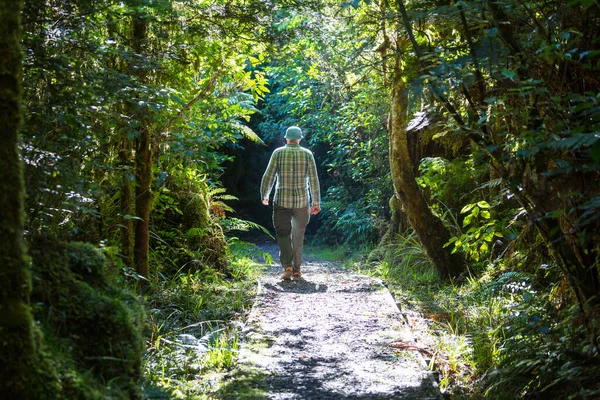 Caminhadas Tramping Nova Zelândia Conceito Viagem Aventura — Fotografia de Stock