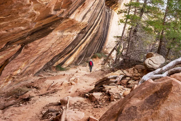 Caminhada Nas Montanhas Utah Caminhadas Paisagens Naturais Incomuns Formas Fantásticas — Fotografia de Stock