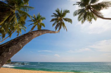 Tropikal sahildeki güzel yaz manzaraları. Tatil arkaplanı.