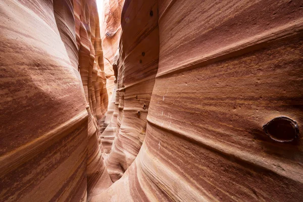 Utah, ABD 'deki Grand Staircase Escalante Ulusal Parkı' ndaki Slot Kanyonu. Utah çöllerinde alışılmadık renkli kumtaşı oluşumları yürüyüşçüler için popülerdir..