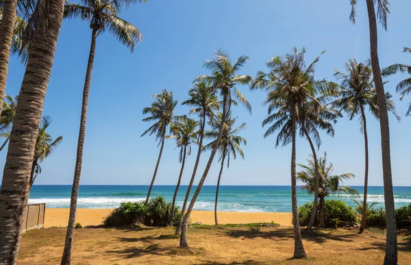 Vackra Sommarlandskap Den Tropiska Stranden Semester Bakgrund — Stockfoto