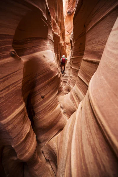 Slot Canyon Grand Staircase Escalante National Park Utah Eua Formações — Fotografia de Stock