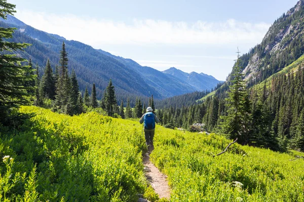 Backpackers Letnich Górach — Zdjęcie stockowe