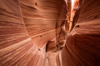 Utah, ABD 'deki Grand Staircase Escalante Ulusal Parkı' ndaki Slot Kanyonu. Utah çöllerinde alışılmadık renkli kumtaşı oluşumları yürüyüşçüler için popülerdir..