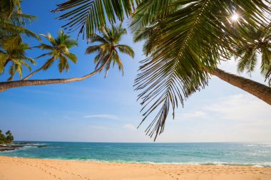 Tropikal sahildeki güzel yaz manzaraları. Tatil arkaplanı.