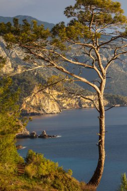 Türkiye 'de güzel deniz kıyıları