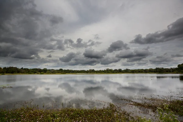 Beautiful Natural Landscapes Sri Lanka — Stock Photo, Image