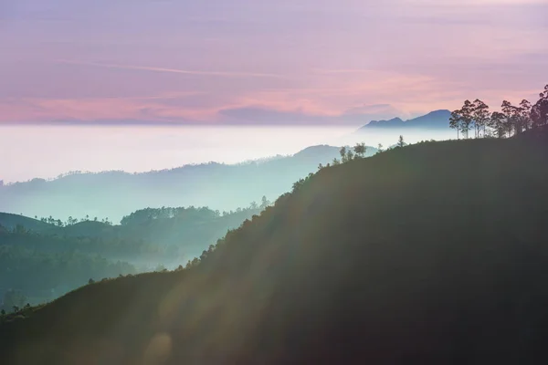 Гарні Гірські Ландшафти Шрі Ланці Гірський Силует Заході Сонця — стокове фото