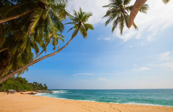 Krásné Letní Krajiny Tropické Pláži Pozadí Dovolené — Stock fotografie