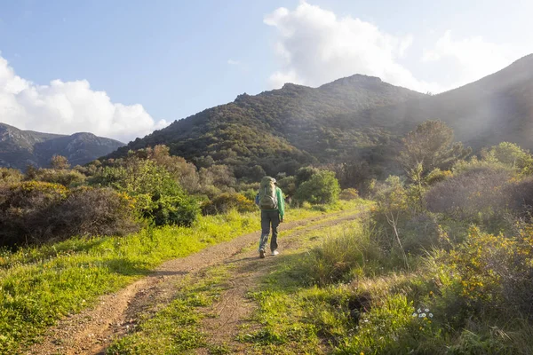 Mann Bei Einer Wanderung Den Sommerlichen Bergen Schöne Naturlandschaften — Stockfoto