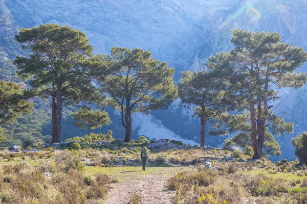 Türkiye Dağlarındaki Güzel Doğa Manzaraları Lycian Tarzı Yürüyüşçüler Arasında Meşhurdur — Stok fotoğraf