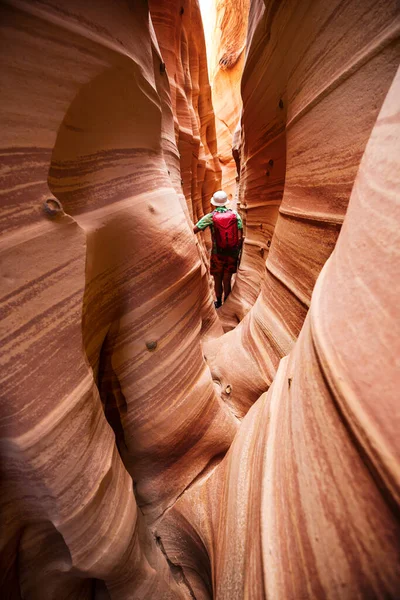 Slot Canyon Grand Staircase Escalante National Park Utah Usa Ovanliga — Stockfoto