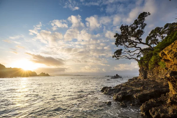 Beautiful Landscapes Ocean Beach New Zealand Inspiring Natural Travel Background — Stock Photo, Image