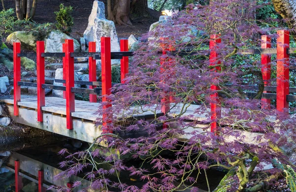 Bahar Mevsiminde Japon Bahçesi — Stok fotoğraf