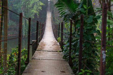 Ormanda asma köprü, Sri Lanka
