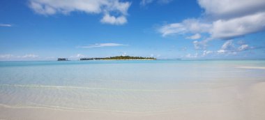 Güzel Maldivler plajı. Doğal güzel bir arka plan..