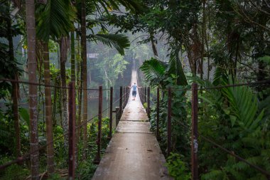 Ormanda asma köprü, Sri Lanka