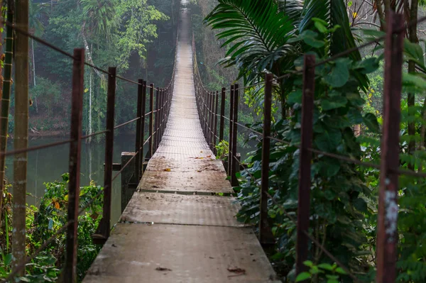 斯里兰卡丛林中悬索桥 — 图库照片