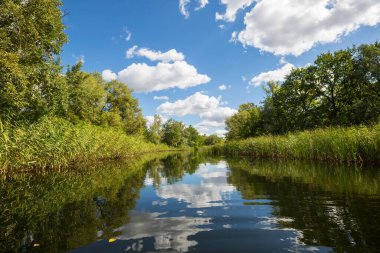 Güneşli yaz gününde nehir kıyısında