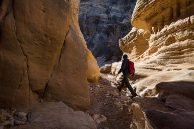 Utah, ABD 'deki Grand Staircase Escalante Ulusal Parkı' ndaki Slot Kanyonu. Utah çöllerinde alışılmadık renkli kumtaşı oluşumları yürüyüşçüler için popülerdir..