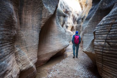 Utah, ABD 'deki Grand Staircase Escalante Ulusal Parkı' ndaki Slot Kanyonu. Utah çöllerinde alışılmadık renkli kumtaşı oluşumları yürüyüşçüler için popülerdir..