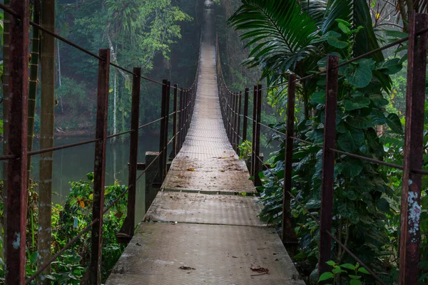 Suspension Bridge Jungle Sri Lanka — Stock Photo, Image